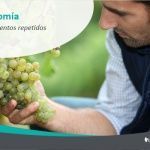 Movimientos Repetidos en el ámbito laboral